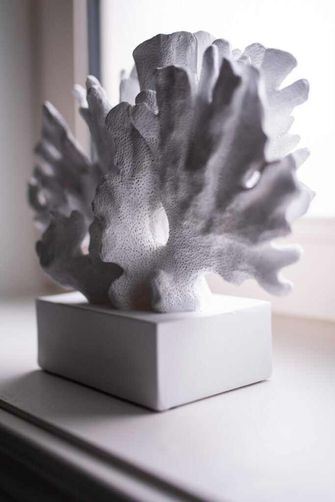 White coral sculpture placed on bathroom windowsill – Cloyne Farmhouse Part Two project, designed by AK Interior, Cork, Ireland.