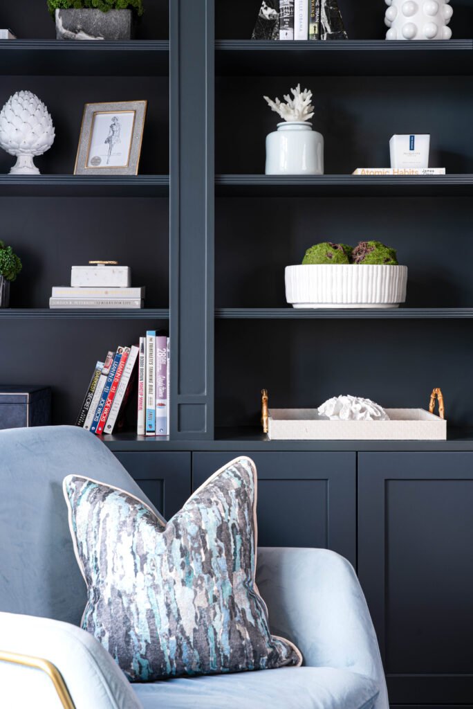 Velvet armchair cushion with shelving in the background – Douglas Part Two, AK Interior, Cork