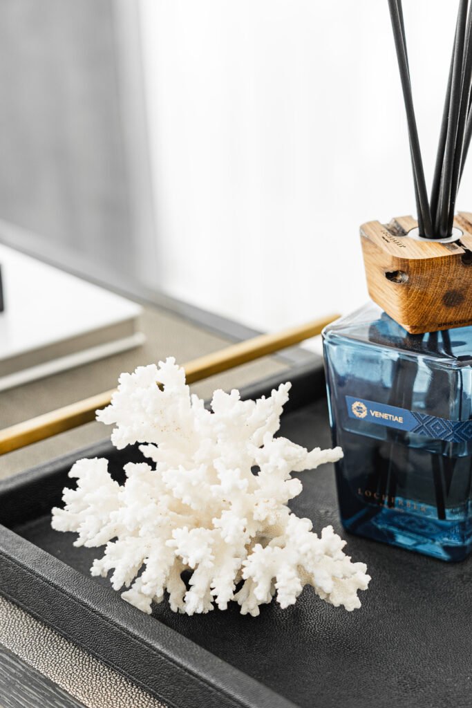 Scent diffuser and white decorative coral on a tray – Moneygurney Road Part One, AK Interior