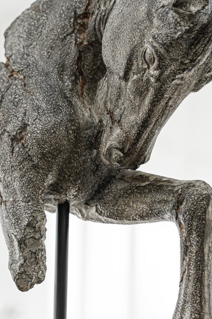 Close-up of horse sculpture texture – Moneygurney Road Part One, AK Interior