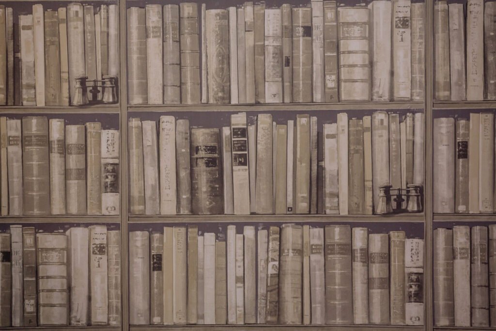 Feature wall with faux bookcase wallpaper creating a library look. Briar Rose Commercial project, AK Interior, Cork.