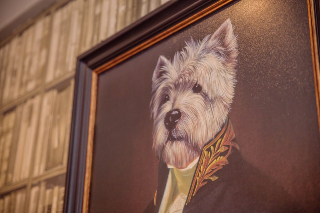 Framed animal portrait hung on bookcase effect wallpaper. Briar Rose Commercial project, AK Interior, Cork.